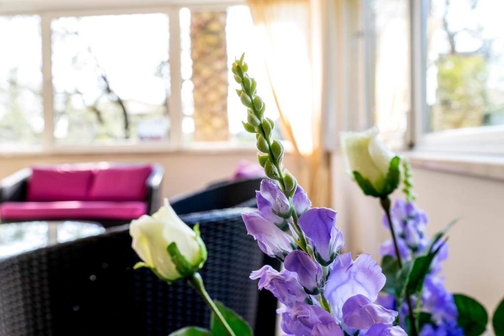 Posezení v ubytování Hotel Sorriso