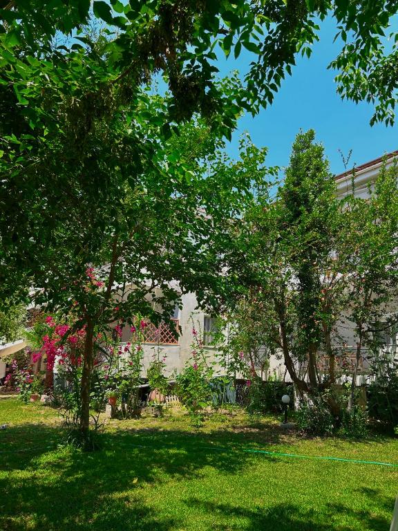 Vonkajšia záhrada v ubytovaní Anthonas House
