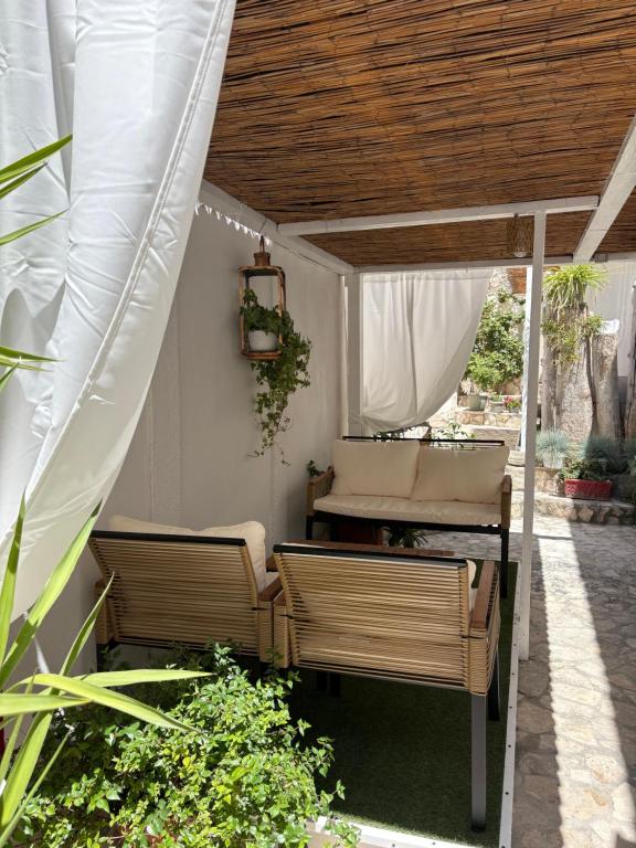 Ogród w obiekcie Il Giardino dei Limoni