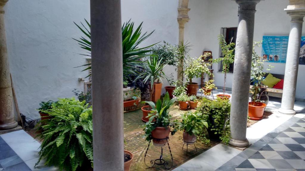 エル・プエルト・デ・サンタマリアにあるカーサ デル レヒドーラの鉢植えの植物がたくさん並ぶ部屋