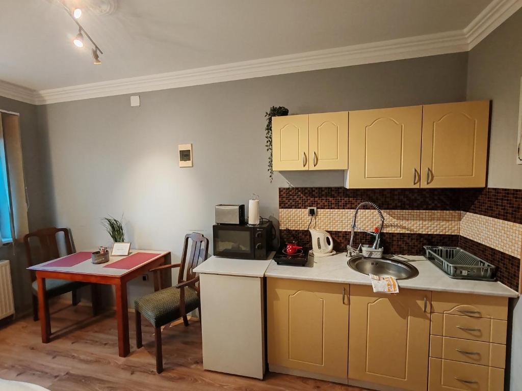 Una cocina o zona de cocina en Sun and river Apartments