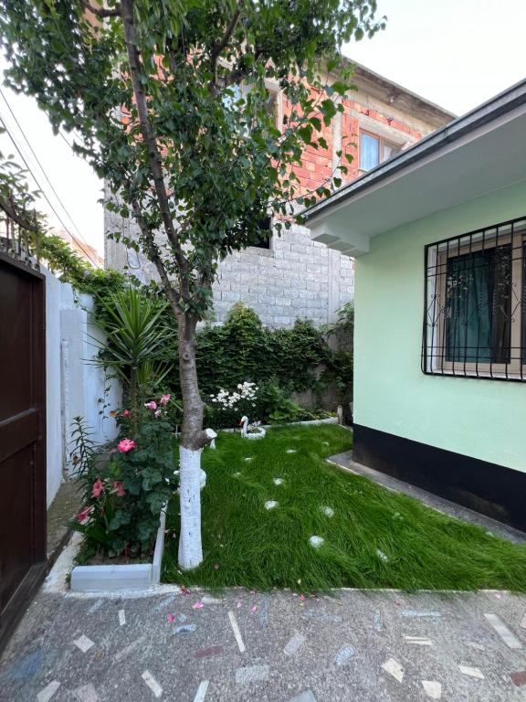 Zahrada ubytování Dibra Home near City Center of Shkodra