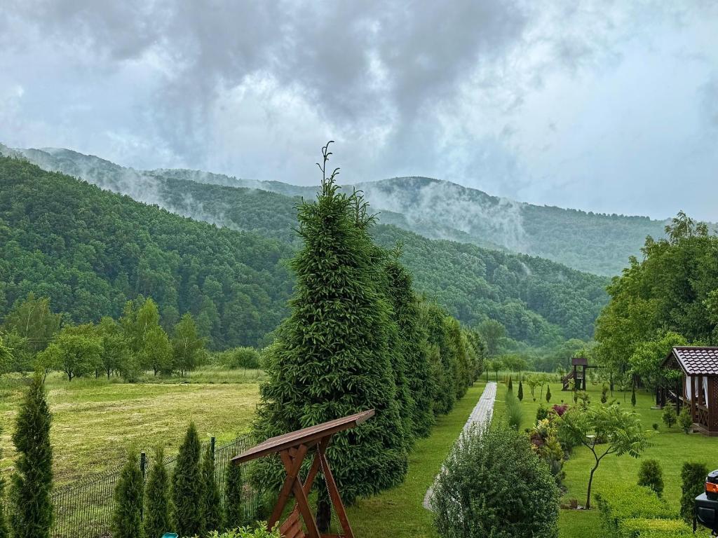 Příroda nedaleko penzionu