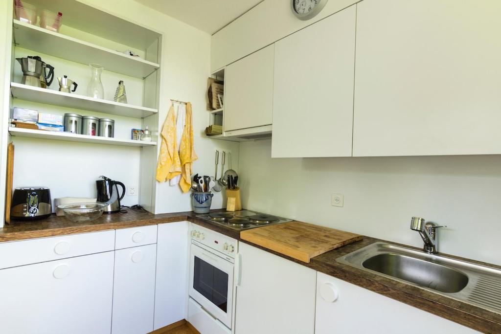Kuchyň nebo kuchyňský kout v ubytování Edelweiss Haus Collina