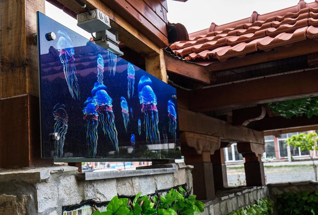 Fotografie z fotogalerie ubytování JBH Hotel v destinaci Sveti Vlas