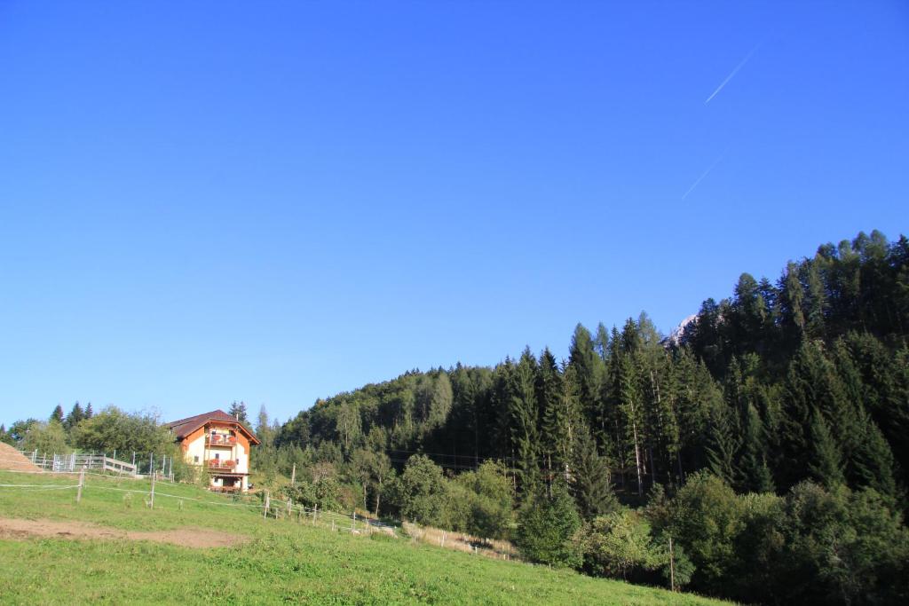 Příroda nedaleko apartmánu