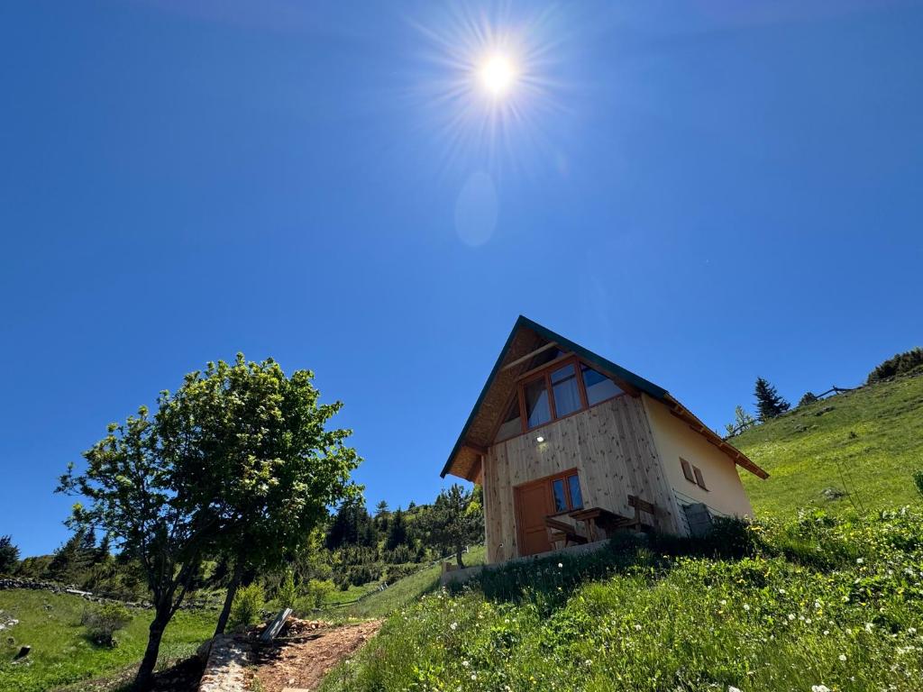 Příroda nedaleko bed and breakfast