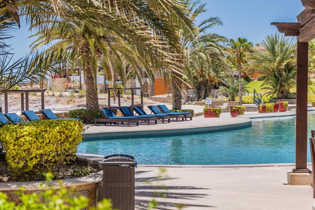 a resort pool with lounge chairs and palm trees at Luxury Oceanfront Condo at El Caimancito Beach in La Paz