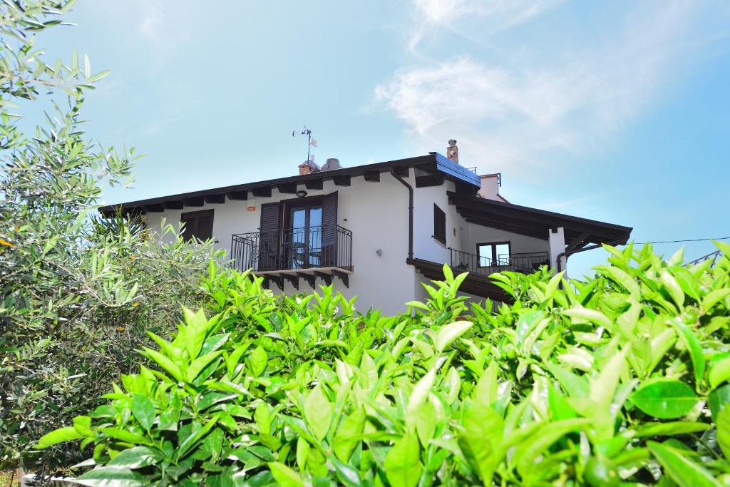 Zahrada ubytování M&G Holiday House