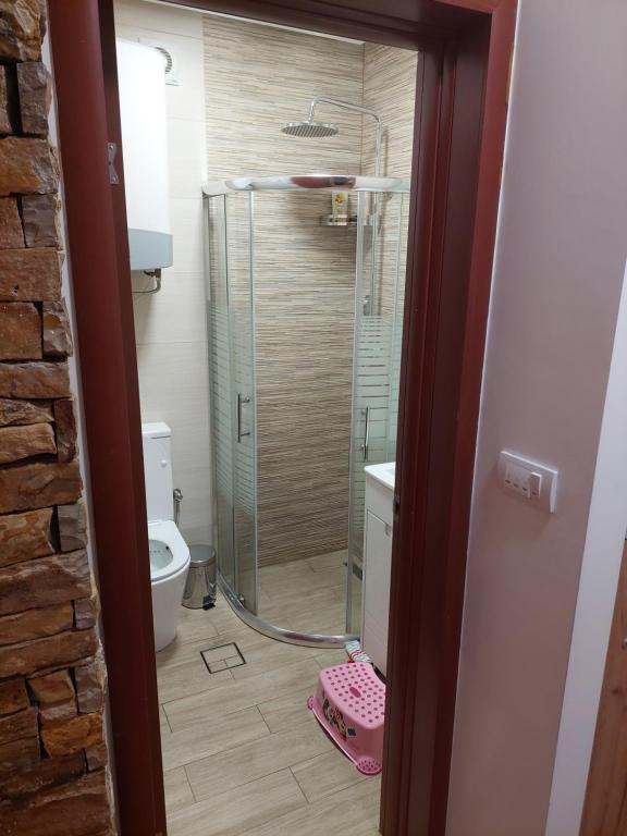 A bathroom at Apartman Šapat bora