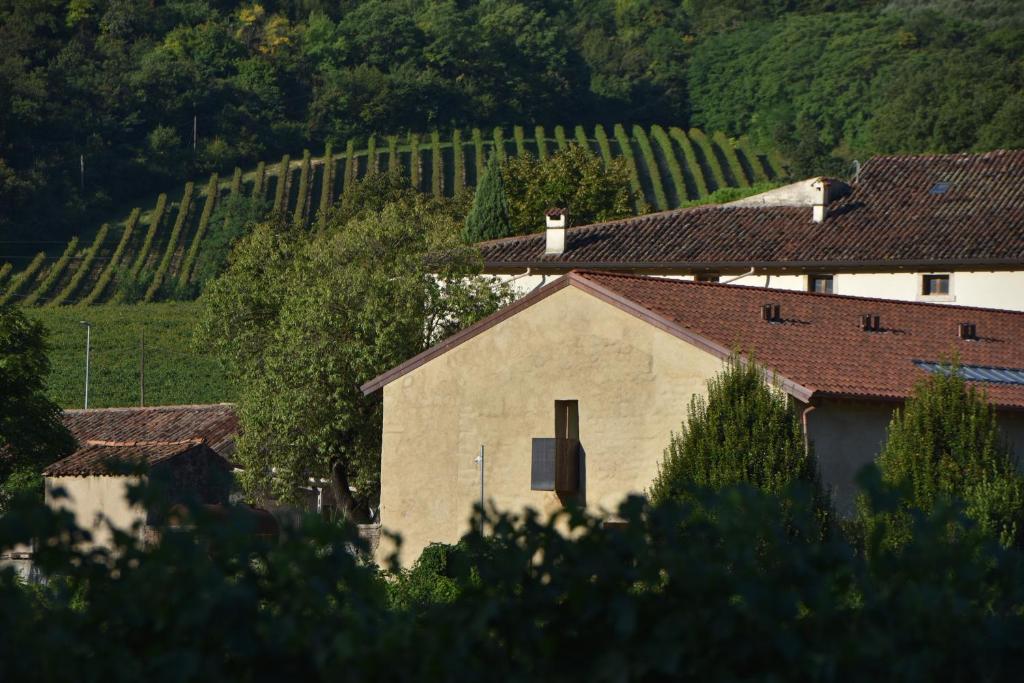 a house in a vineyard with trees at Villa del Brolo - Famiglia Furia in Mezzane di Sotto