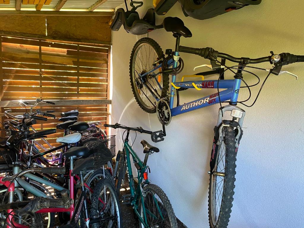 Jazda na bicykli v okolí ubytovania DorJan - Domki Letniskowe