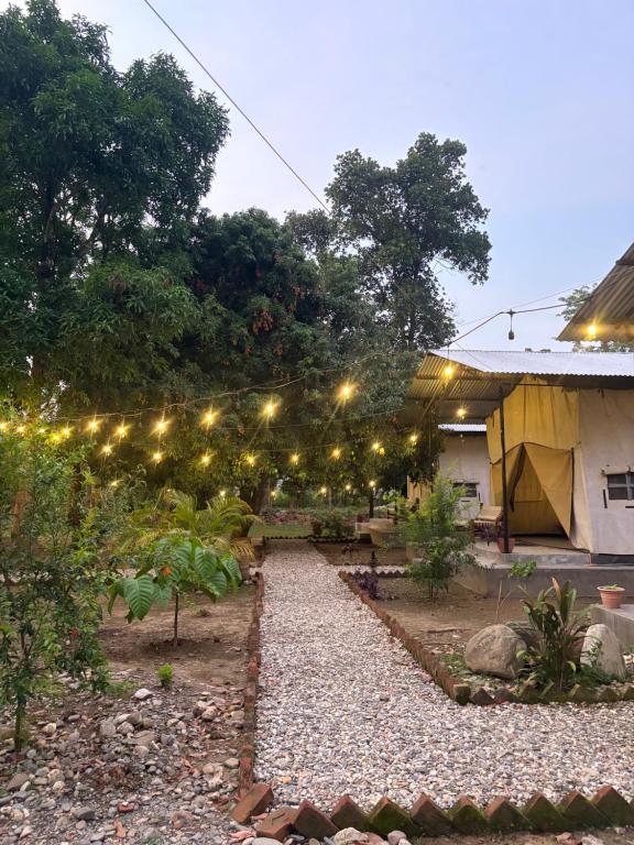 a garden with a string of lights in a yard at Hotel Tharu Garden And Beer Bar in Chitwan
