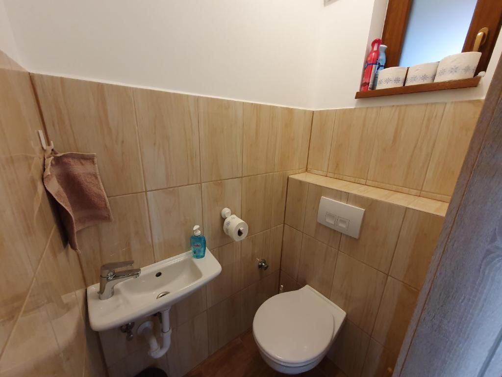 Koupelna v ubytování Árvalányhaj Vendégház
