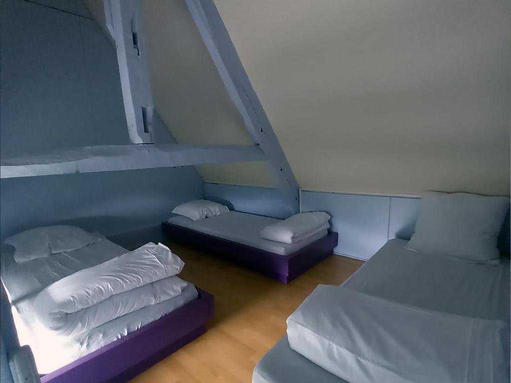 Auberge de Jeunesse HI Saint-Brieuc - 5人间 - 共用浴室