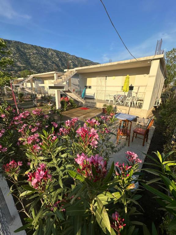 Una casa con flores rosas en el frente. en Vila Eriona, en Baks-Rrjoll