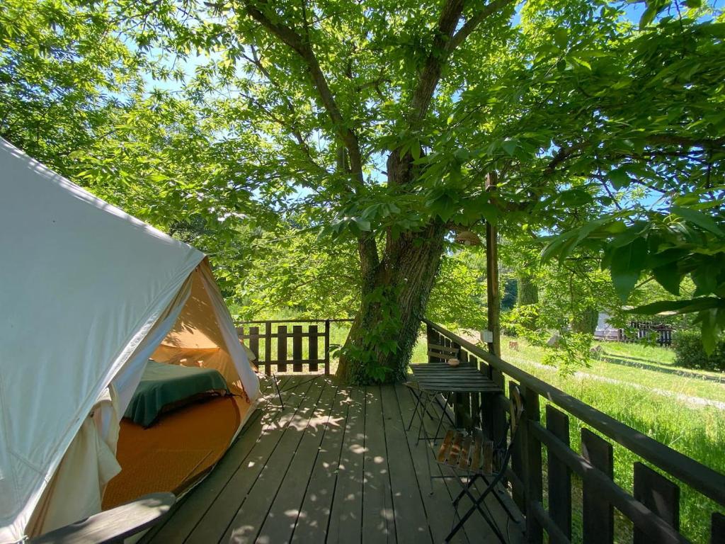 Příroda nedaleko luxury tent