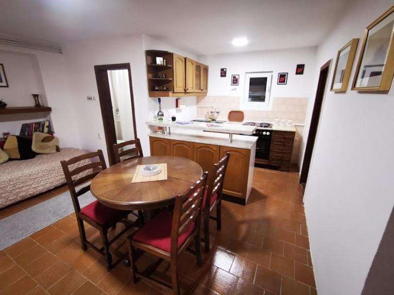 Kuchyň nebo kuchyňský kout v ubytování Apartman Domacinstvo La ViE na selu