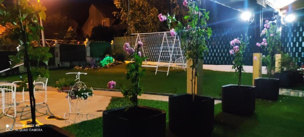 Zahrada ubytování Apartman Domacinstvo La ViE na selu