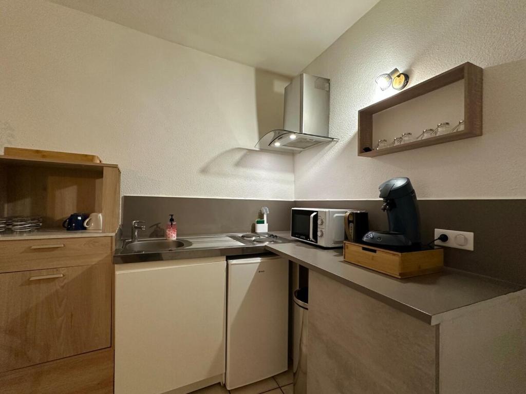 une petite cuisine avec un évier et un micro-ondes dans l'établissement La terrasse de Grangevieille, à La Celle-sous-Gouzon