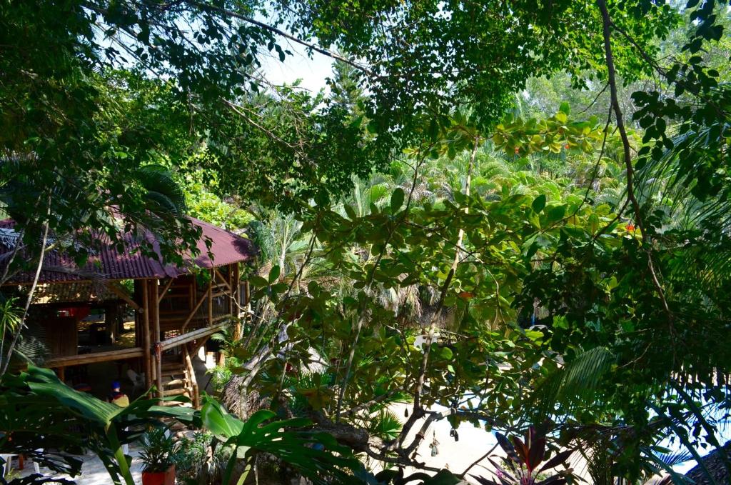 Zahrada ubytování Amanwana Ecofinca