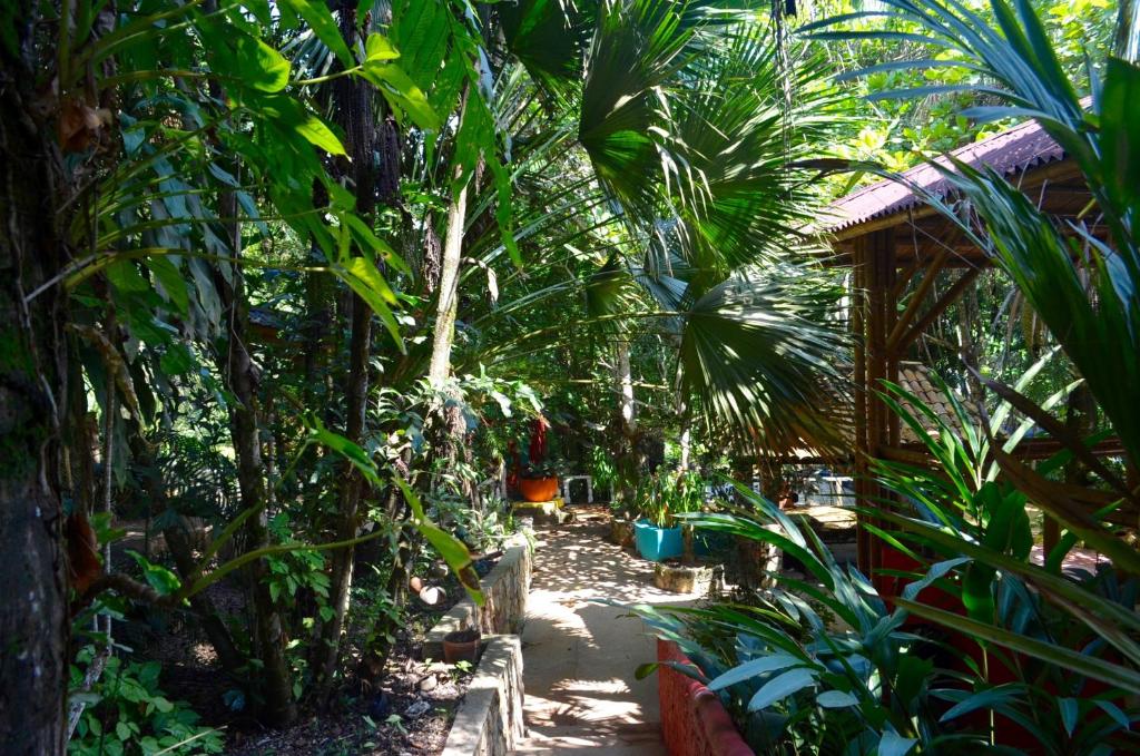 Zahrada ubytování Amanwana Ecofinca