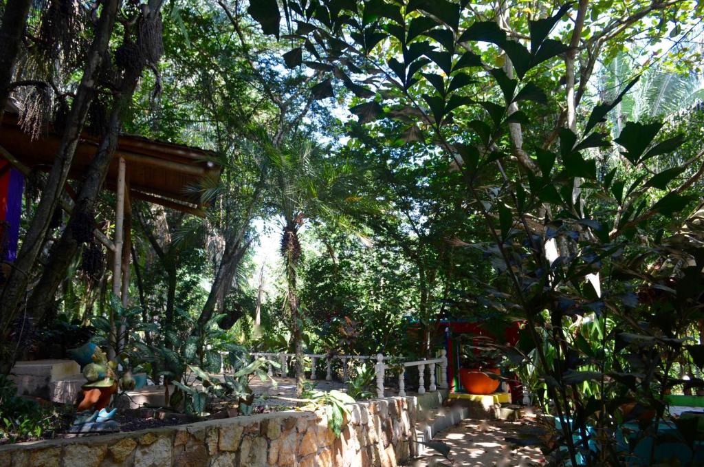 Zahrada ubytování Amanwana Ecofinca