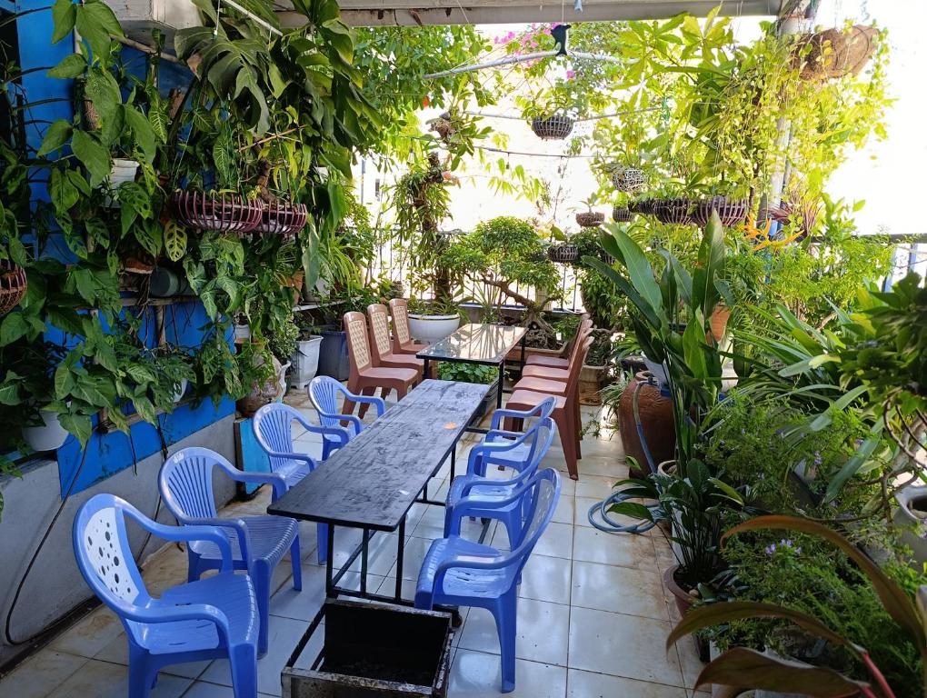 Zahrada ubytování NHÀ NGUYÊN CĂN VŨNG TÀU DUNGVINH'S HOME