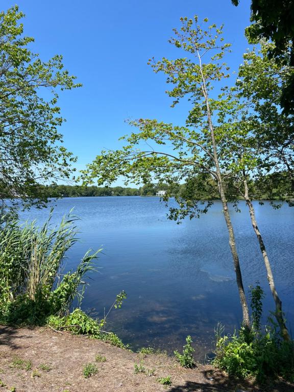 a view of a lake between two trees at 67 Lake House in Patchogue