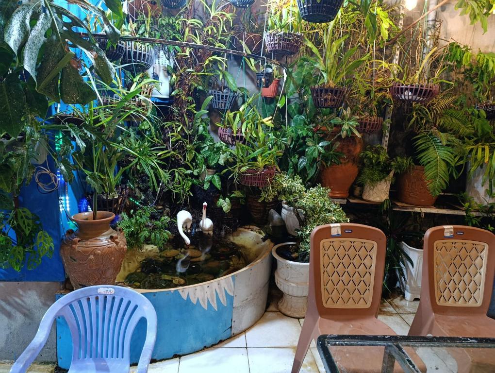 Zahrada ubytování NHÀ NGUYÊN CĂN VŨNG TÀU DUNGVINH'S HOME