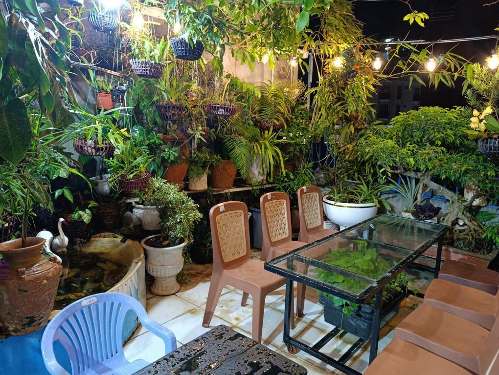 Zahrada ubytování NHÀ NGUYÊN CĂN VŨNG TÀU DUNGVINH'S HOME