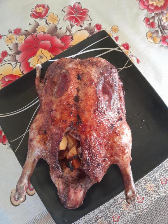 Jídlo v kempu nebo okolí