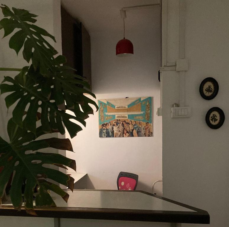 Fotografie z fotogalerie ubytování Chillton hostel v Bělehradě