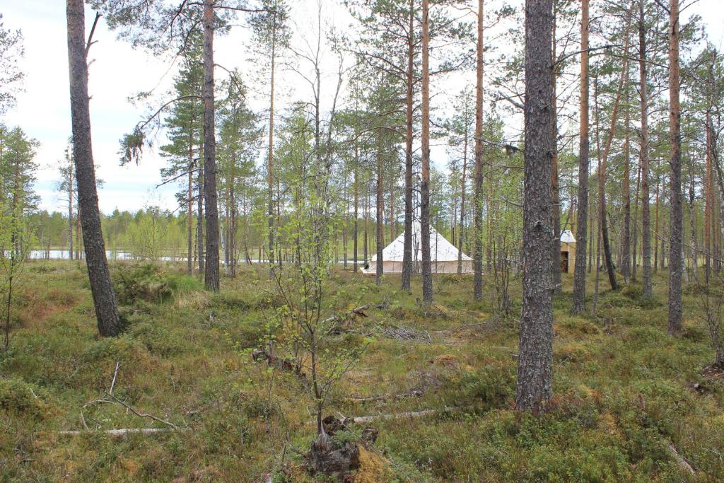 Příroda nedaleko luxury tent