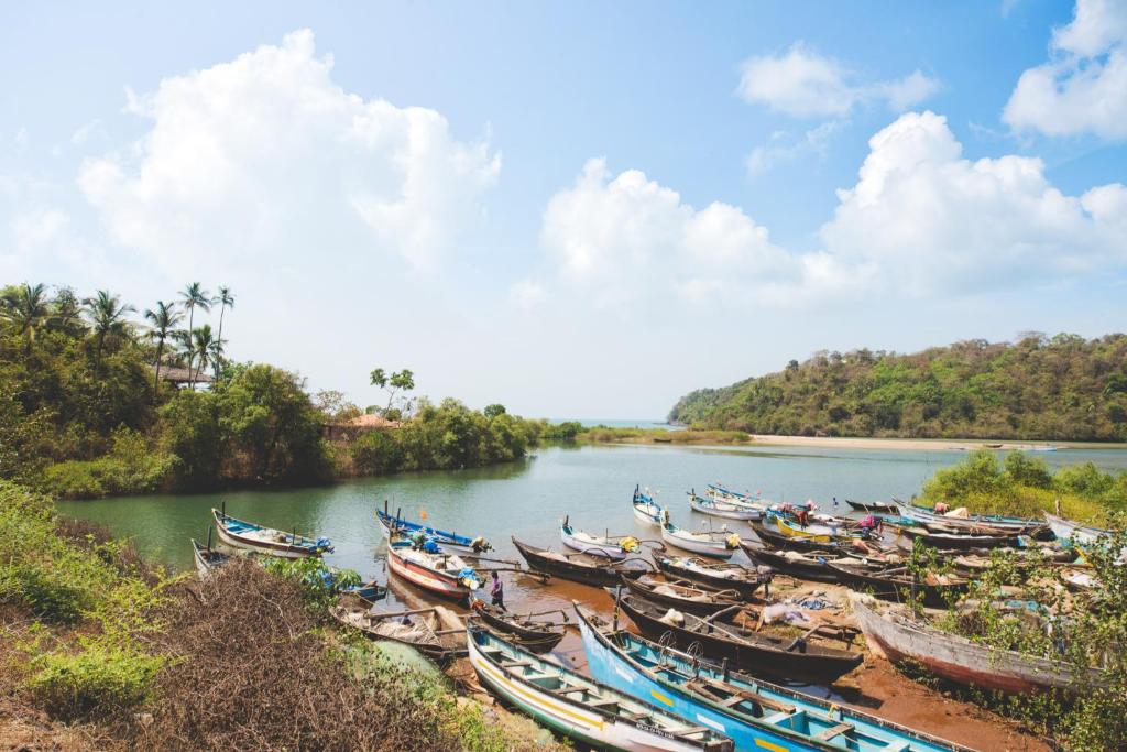 a bunch of boats are lined up on a river at The Bay Agonda in Agonda