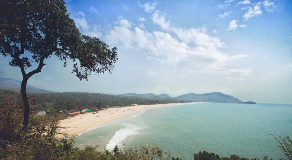 a view of a beach with a tree and the ocean at The Bay Agonda in Agonda