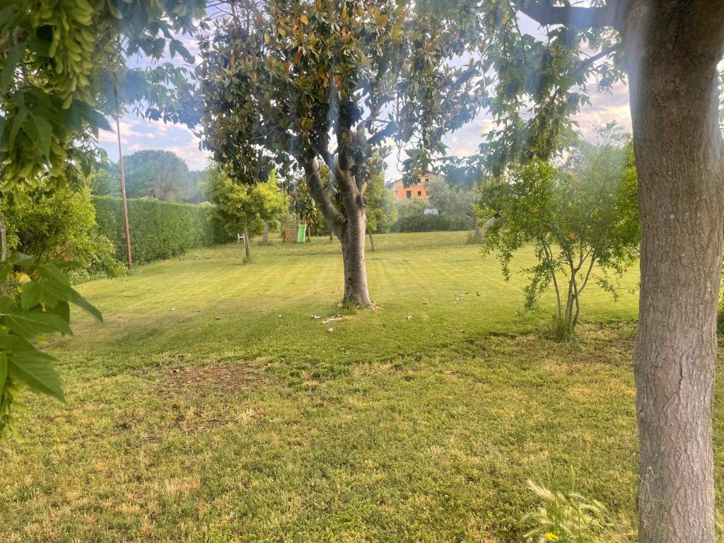 Zahrada ubytování Villa Baccile
