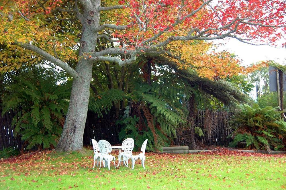 Fairy Springs Motel - Resim 27