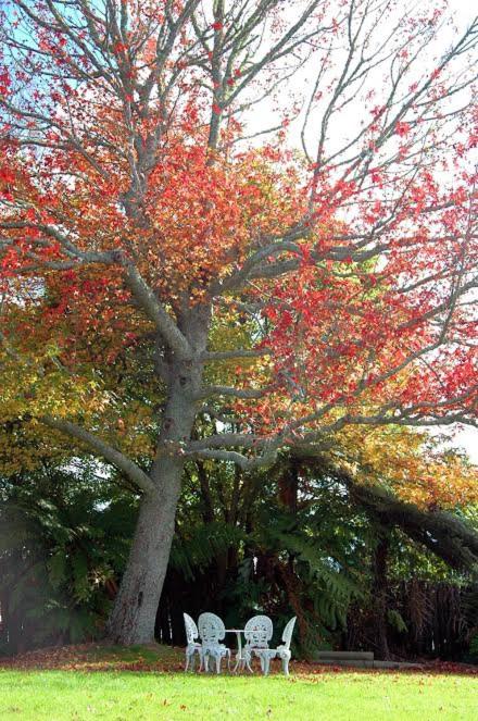 Fairy Springs Motel - Resim 26