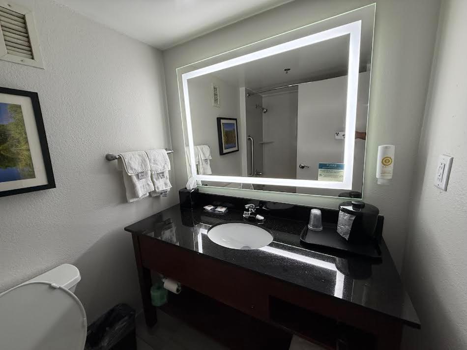 Comfort Inn Conyers photo