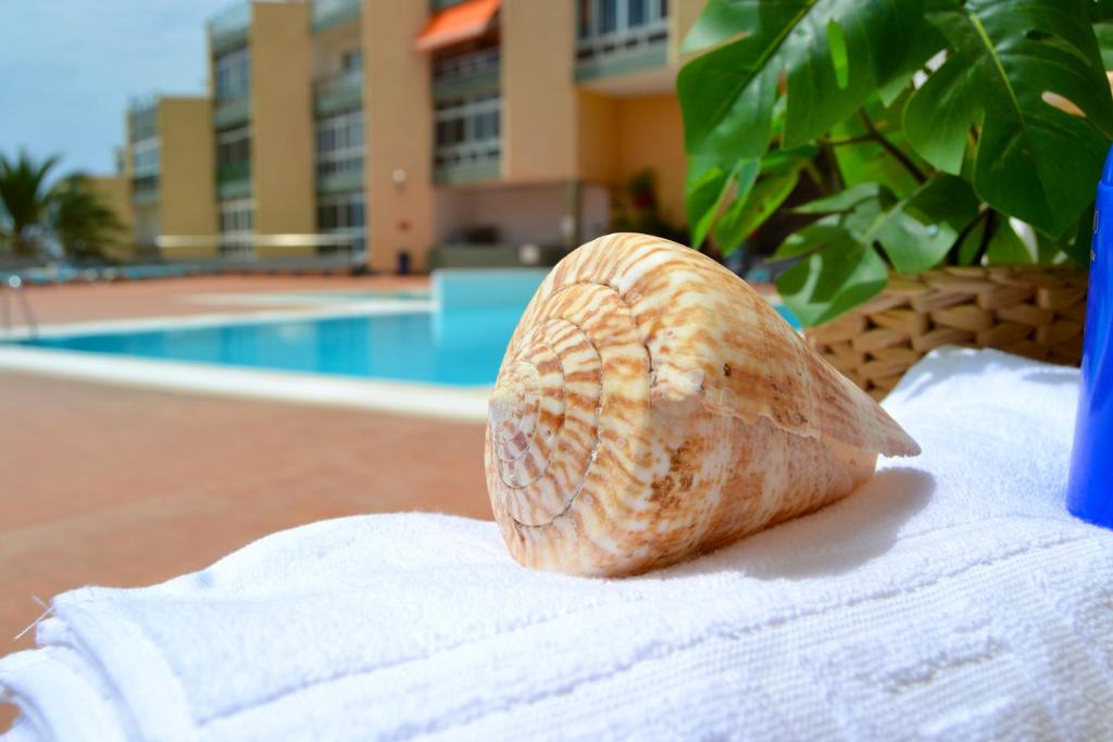 a shell sitting on a towel on a table next to a pool at Apartamento Moana Beach in Candelaria