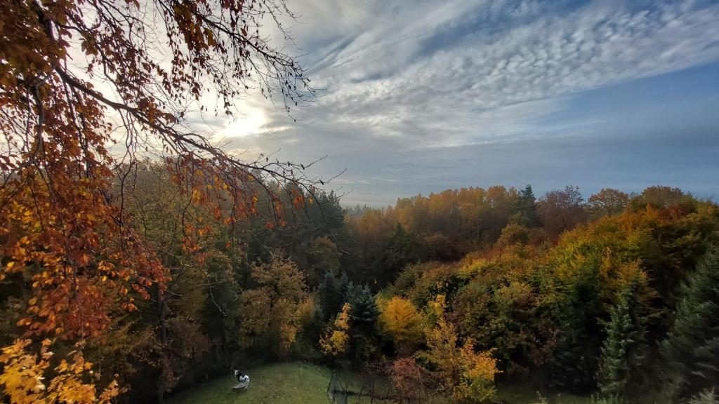 Příroda nedaleko venkovského domu