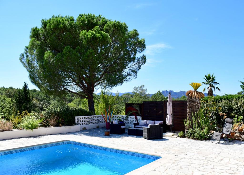 - une piscine avec des chaises et un arbre dans une cour dans l'établissement l'Escale JALS, à Roquebrune-sur Argens