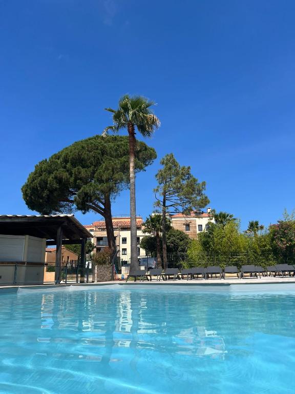 une grande piscine avec un palmier en arrière-plan dans l'établissement Appt neuf 2-4 pers avec loggia - Piscine chauffée - Bord de mer - Corse du Sud- Bonifacio, à Pianottoli-Caldarello