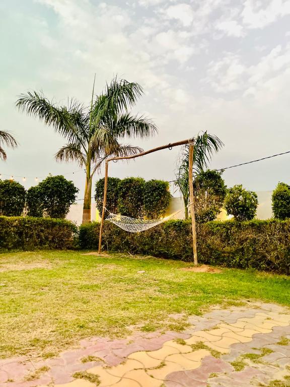 Zahrada ubytování Heaven hills resort Pushkar