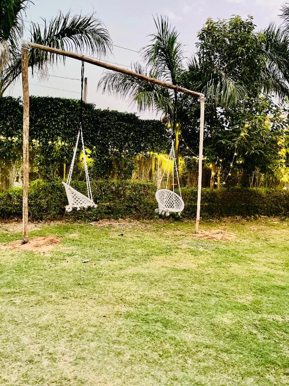 Zahrada ubytování Heaven hills resort Pushkar