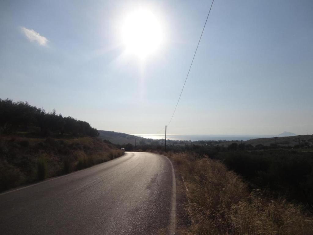 Príroda v okolí vily