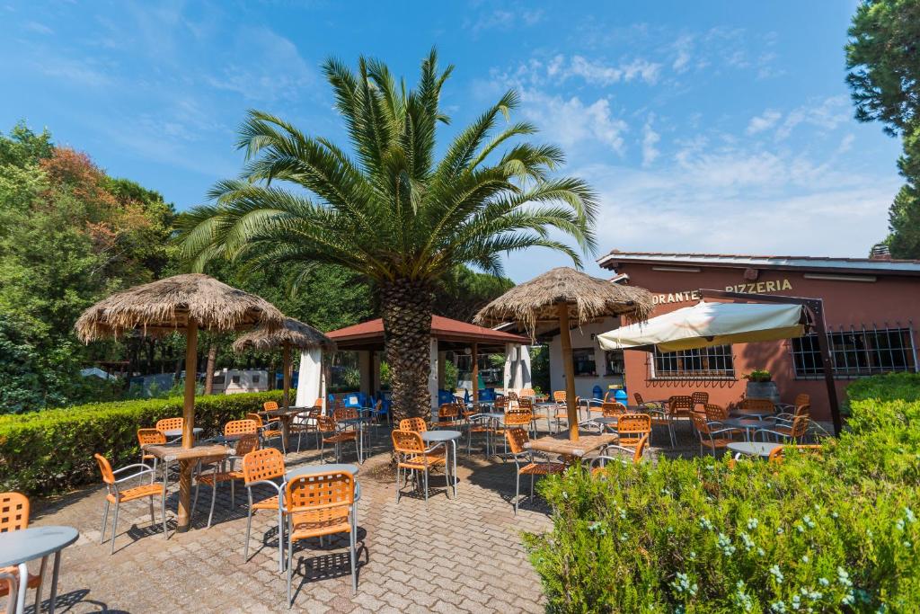 a patio with tables and chairs and a palm tree at Village Camping Hawaii in Albinia