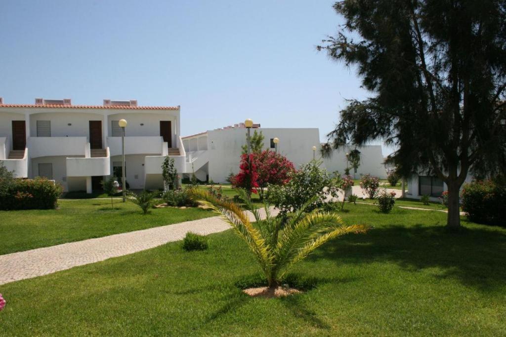 a palm tree in a yard next to a building at Serenity Villa in Porches