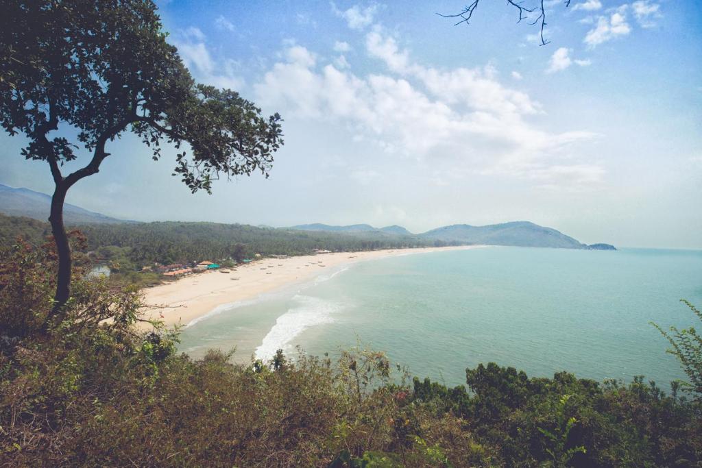 a view of a beach with a tree and the ocean at The Bay Agonda in Agonda